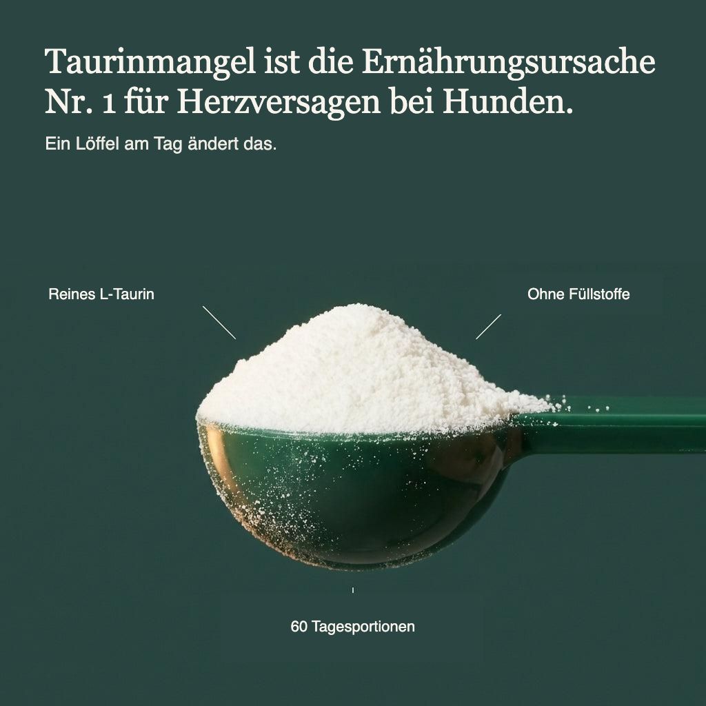Schnauzenherz Taurin Pulver Bild 4