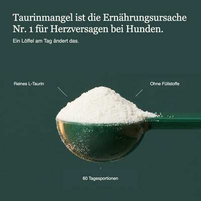 Schnauzenherz Taurin Pulver Bild 4