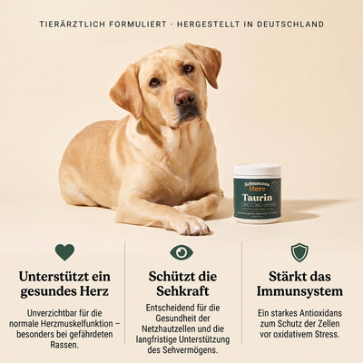 Schnauzenherz Taurin Pulver für Hunde